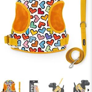 BRITTO® PET Small Dog Harness and Leash - Hearts